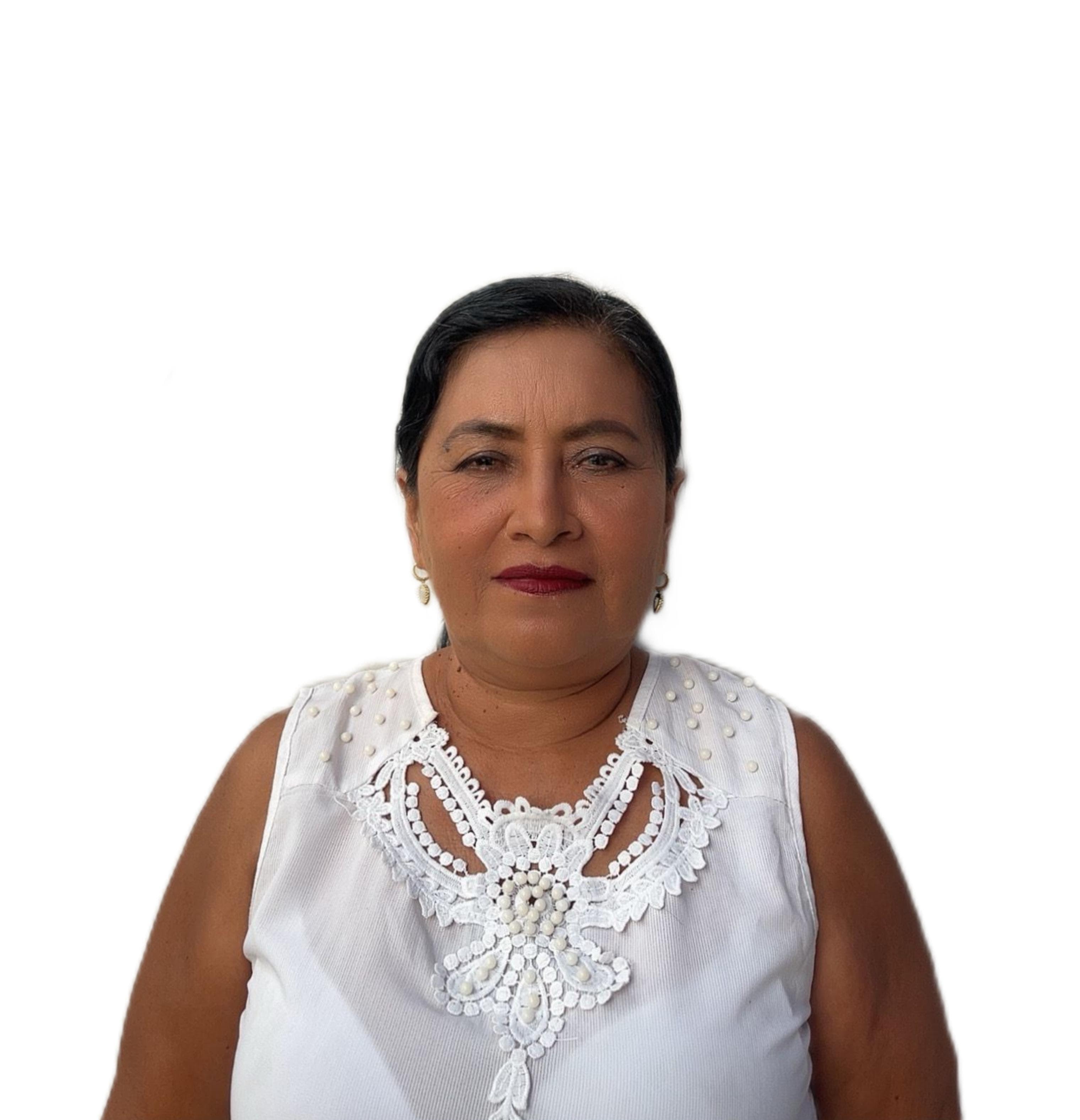 Vice - Presidente